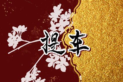2025年農歷三月廿五是不是提車吉日 今日買新車好嗎