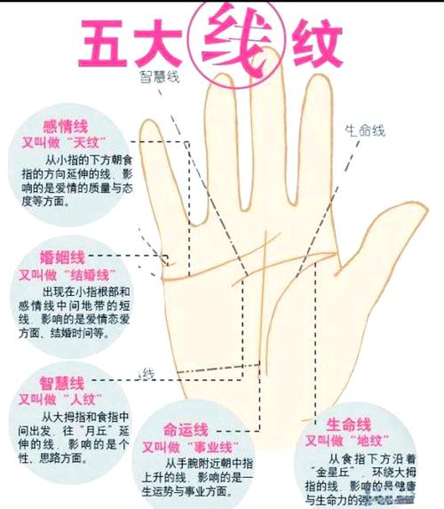 手相看你能生幾個(gè)小孩