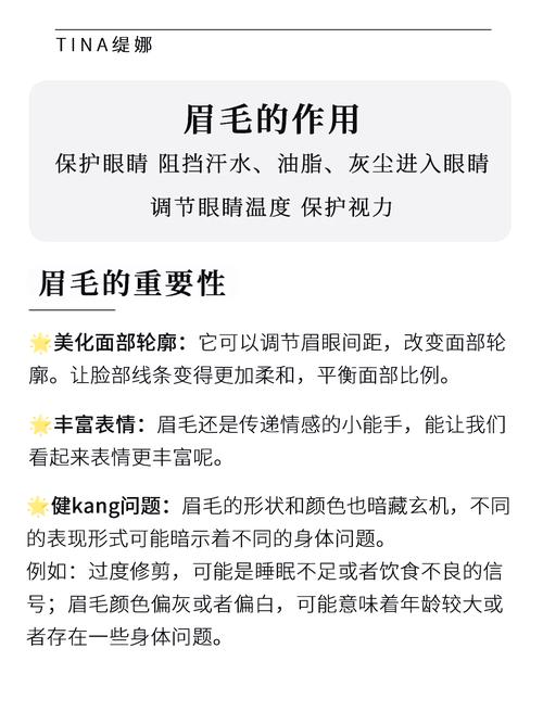 眉毛的重要性