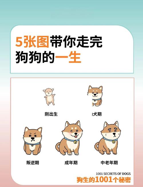 94屬狗一生轉折點發生在什么時候