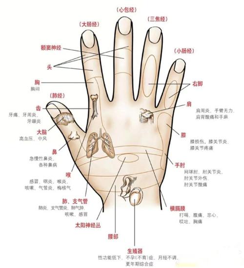 手背痣的位置與命運(yùn)