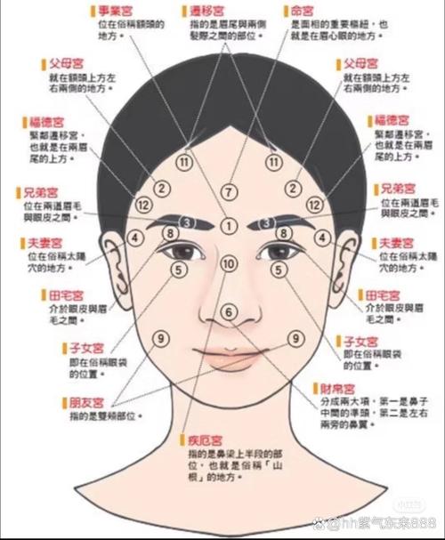 面相分析：看秀發與性格的關系