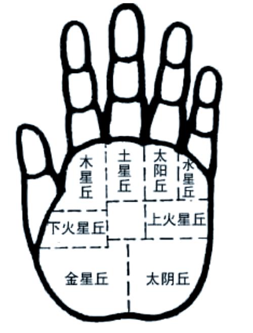 看手相上的掌丘了解你的性格