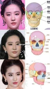 顴骨面相 顴骨兩側外凸的女人面相