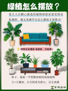 愛情運勢不好可能是家中植物擺放錯誤！