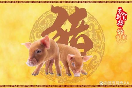 生肖豬2024年有喜事嗎 生肖豬2024躲不過的喜事