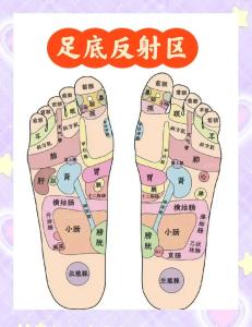 腳底紋路圖解