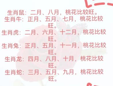 催旺12生肖桃花運的風水