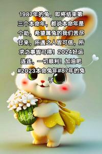 2024年兔人運程1987年每月運勢 2024年兔人運程1987女幸運色