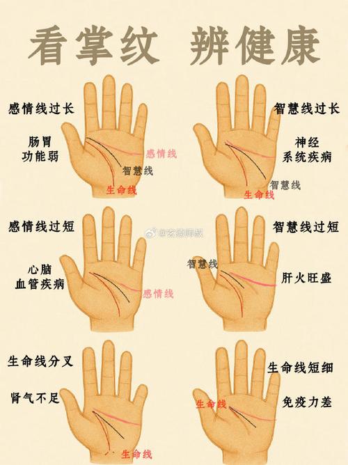 什么特征的手相最命苦 命苦手相分析