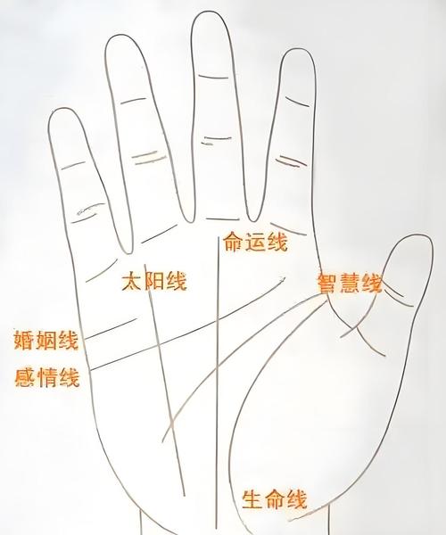 手相太陽線分析 手相太陽線是什么