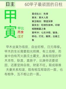 甲寅是什么意思 甲寅的意思詳解
