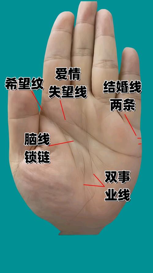 事業成功手相 易取得事業成功的手相