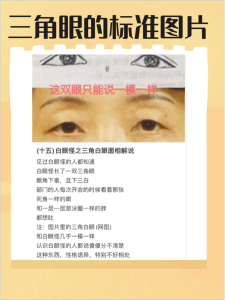 女人三角眼面相怎么樣 是妻管嚴嗎