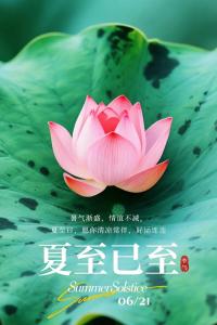 夏至出生的人性格   熱情似火熱愛生活