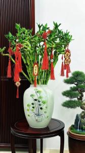 十大鎮(zhèn)宅植物擺件　在家里種了對運勢好