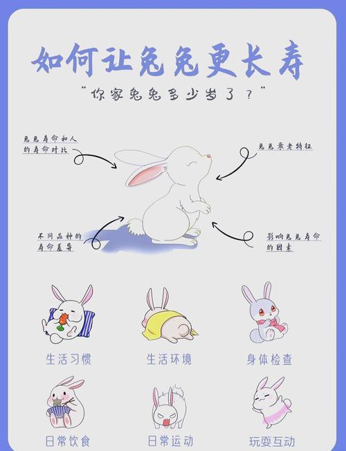 2023春節(jié)出生的兔寶寶如何 溫和善良文質彬彬