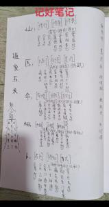 六壬是什么 大六壬占術詳解
