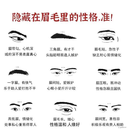 從21種眉毛看男人性格 男人眉毛大全圖解