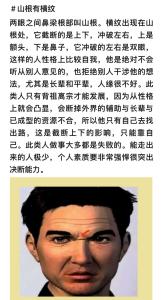 山根有橫紋的人在職場中受歡迎嗎