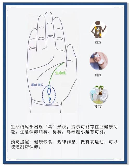 手相分析：不同部位的島紋