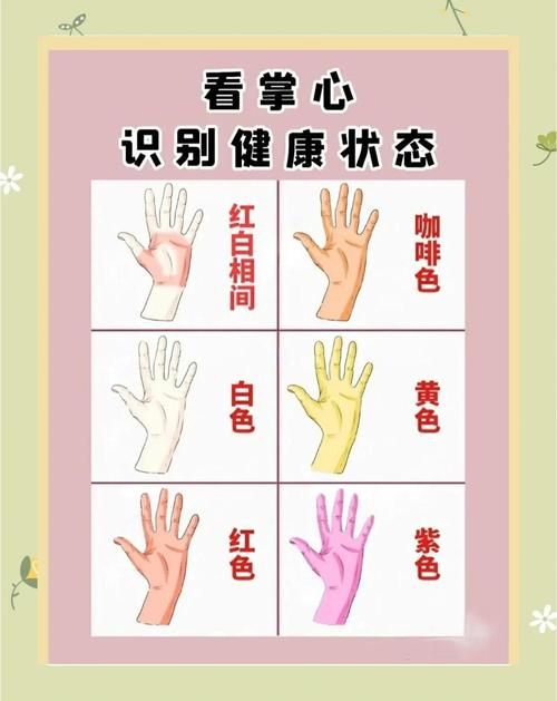 測你手掌的秘密