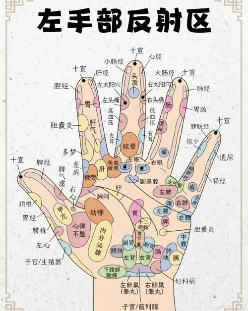 手相與身體健康的關系