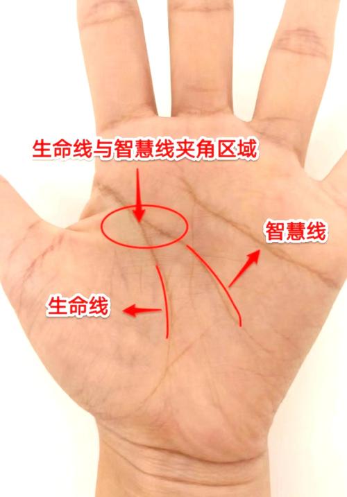 兩條生命線圖解，有兩條智慧線好嗎