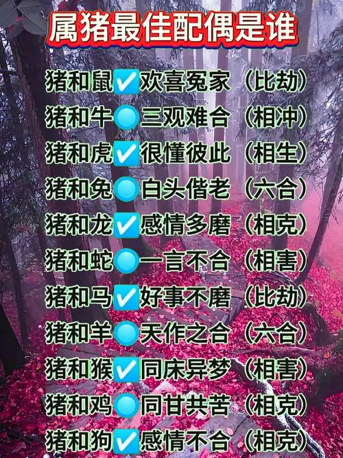  95屬豬男命中注定要娶的人 95屬豬正緣桃花是誰