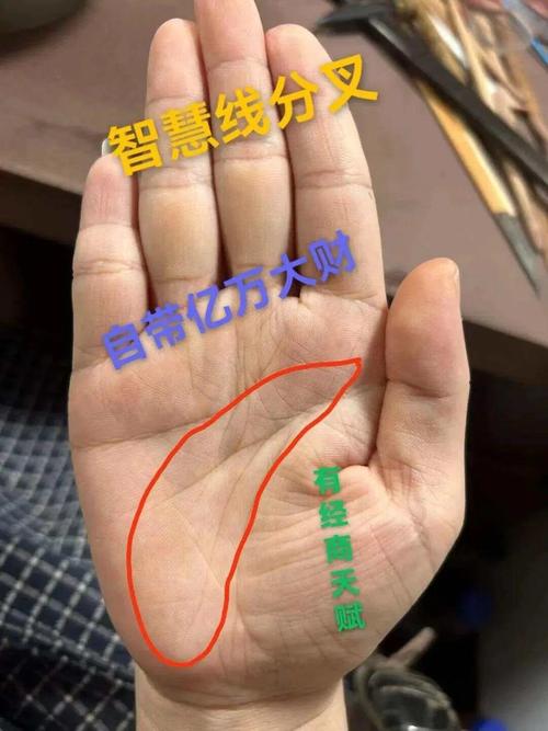 大有作為的手相什么特征