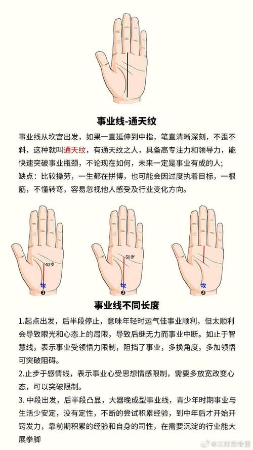 事業心很強的手相特征