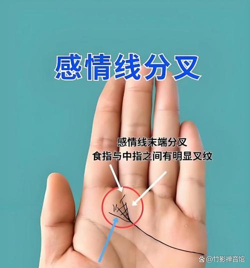 手相看你的戀情從何而來