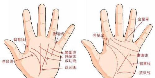 沒(méi)有婚姻線代表什么