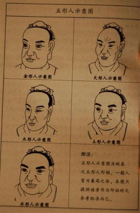 木型人富貴面相什么樣
