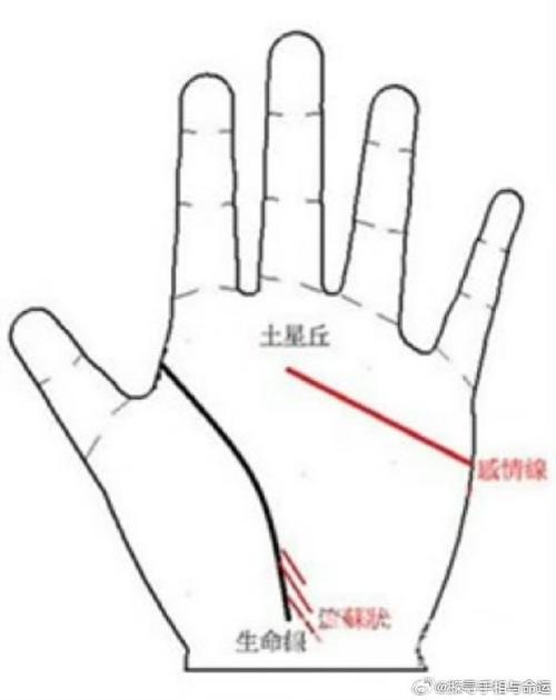 生命線有很多羽毛紋好嗎 是吉是兇