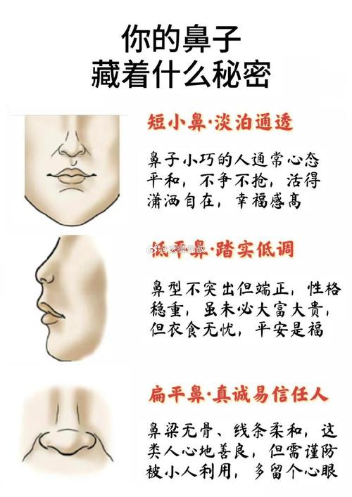 鼻孔較小的人性格如何 命運好不好