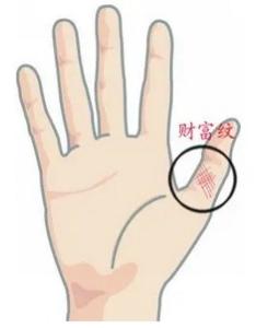 虎口財富紋 在大拇指的第二節(jié)