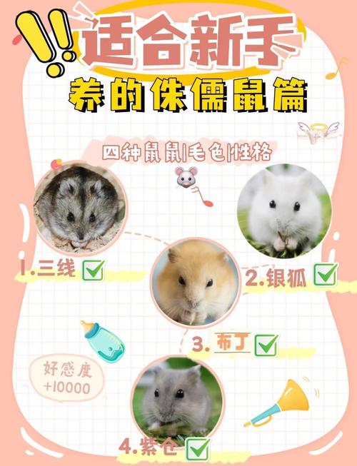 羊爸鼠媽能生鼠寶寶嗎 家庭氛圍溫馨好運降臨