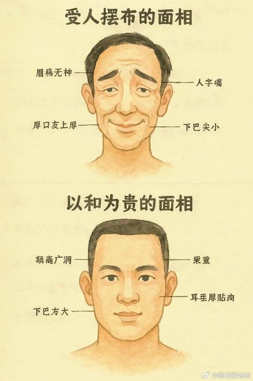 面相分析男人眉毛八字眉命運如何？心胸寬廣，桃花運好？