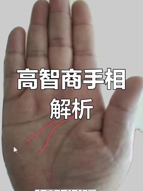 手相智慧線有2條