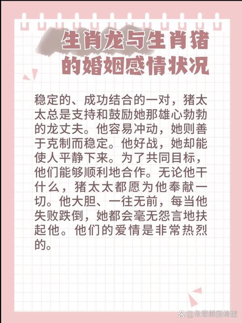 屬龍人和屬豬人配對優缺點 生肖男豬與生肖女龍配不配