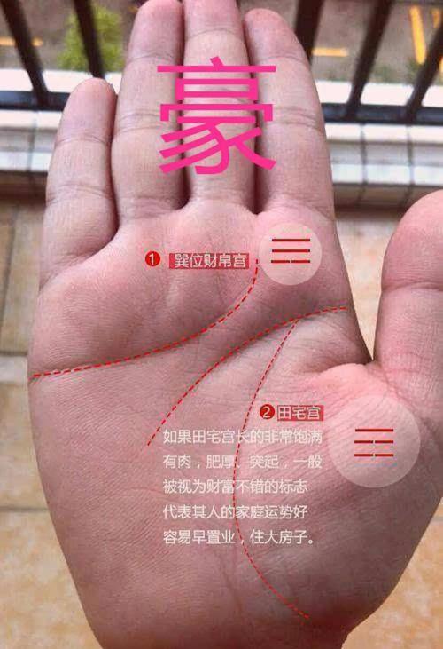 住豪宅的手相什么特點