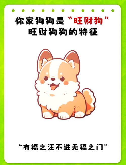 生肖狗在2024有什么值得高興的事 2024屬狗有什么喜事