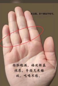 手指肚飽滿是有福氣