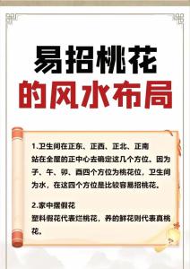 桃花風(fēng)水：感情不合的調(diào)整方法