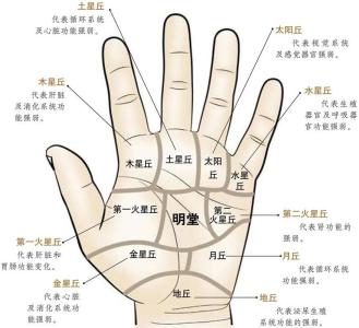 手相圖解：健康線看你自身健康狀況