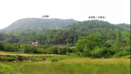擇居綠色陽宅，促婚戀風水生旺