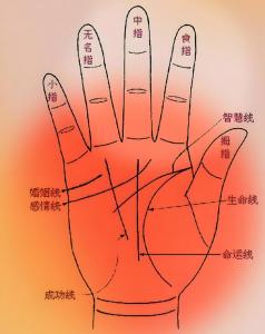 勞碌命手相 手相看你是不是勞碌命