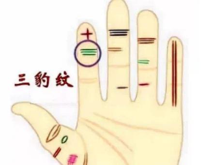 女人7種手相富貴 食指上有三約紋