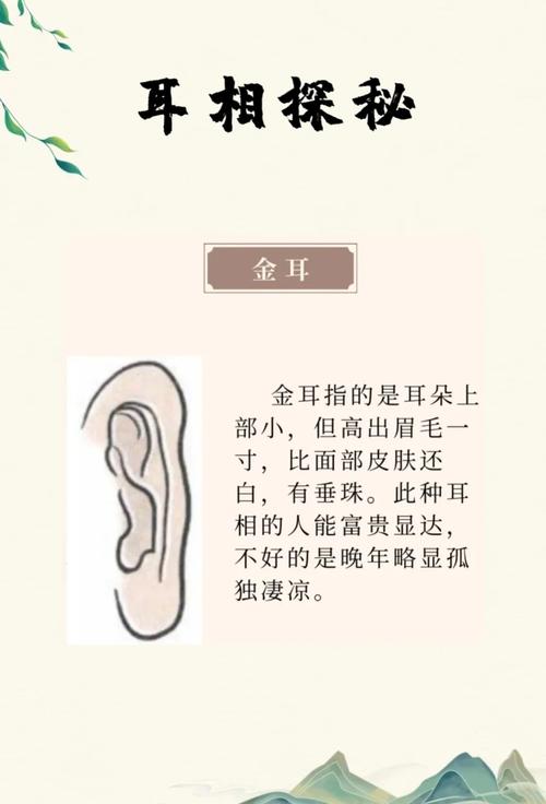 女人耳朵的形狀與命運 有什么關系